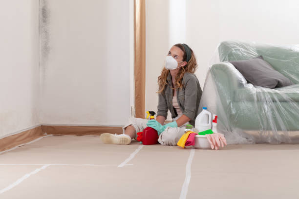 Reliable Mold Remediation contractor in Midland Park, NJ by WQB Mold Removal